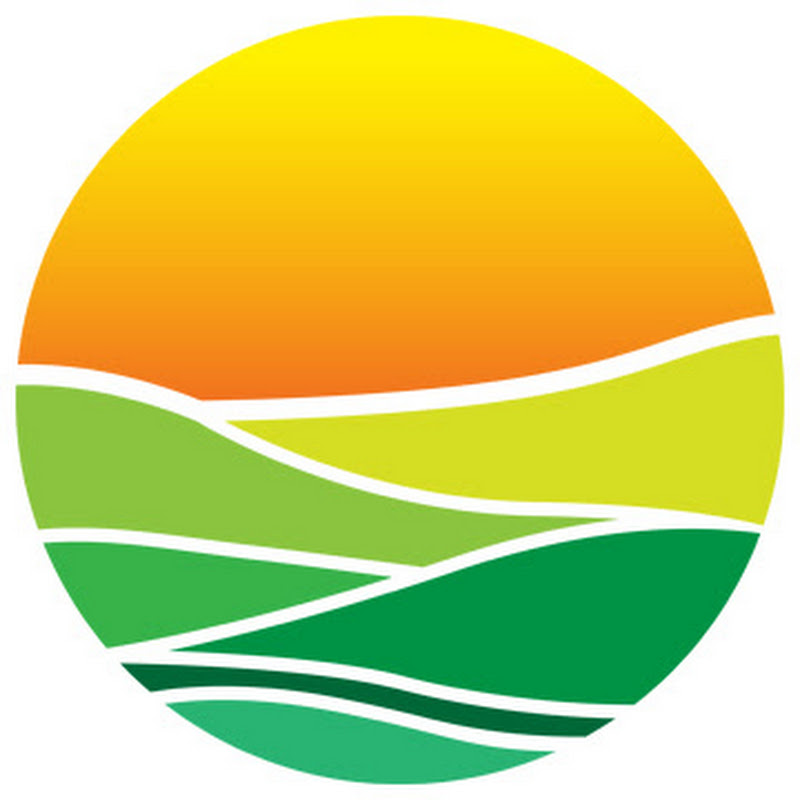 Oasis Cannabis