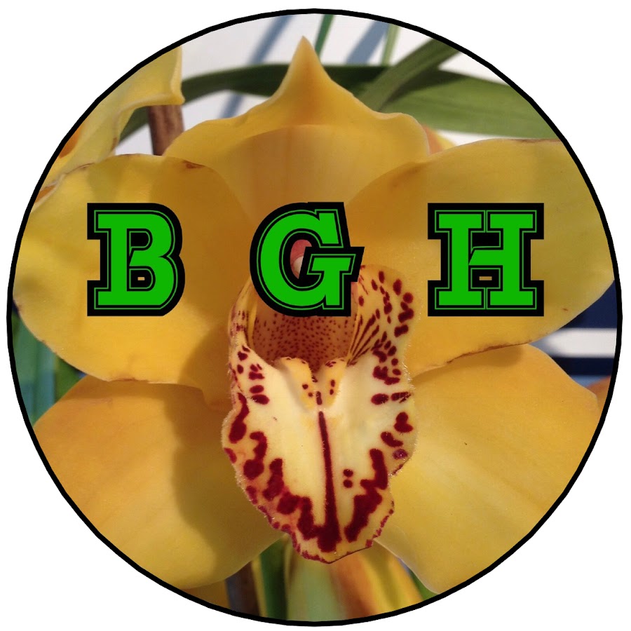 AKedOLQSUb6ulcKDb4HGReSe5UJuwGNeL6M9FGFC8_RUQ=s900ckc0x00ffffffnorj