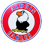Aldrin Elementary School YouTube Profile Photo