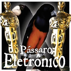 Pássaro Eletronico thumbnail