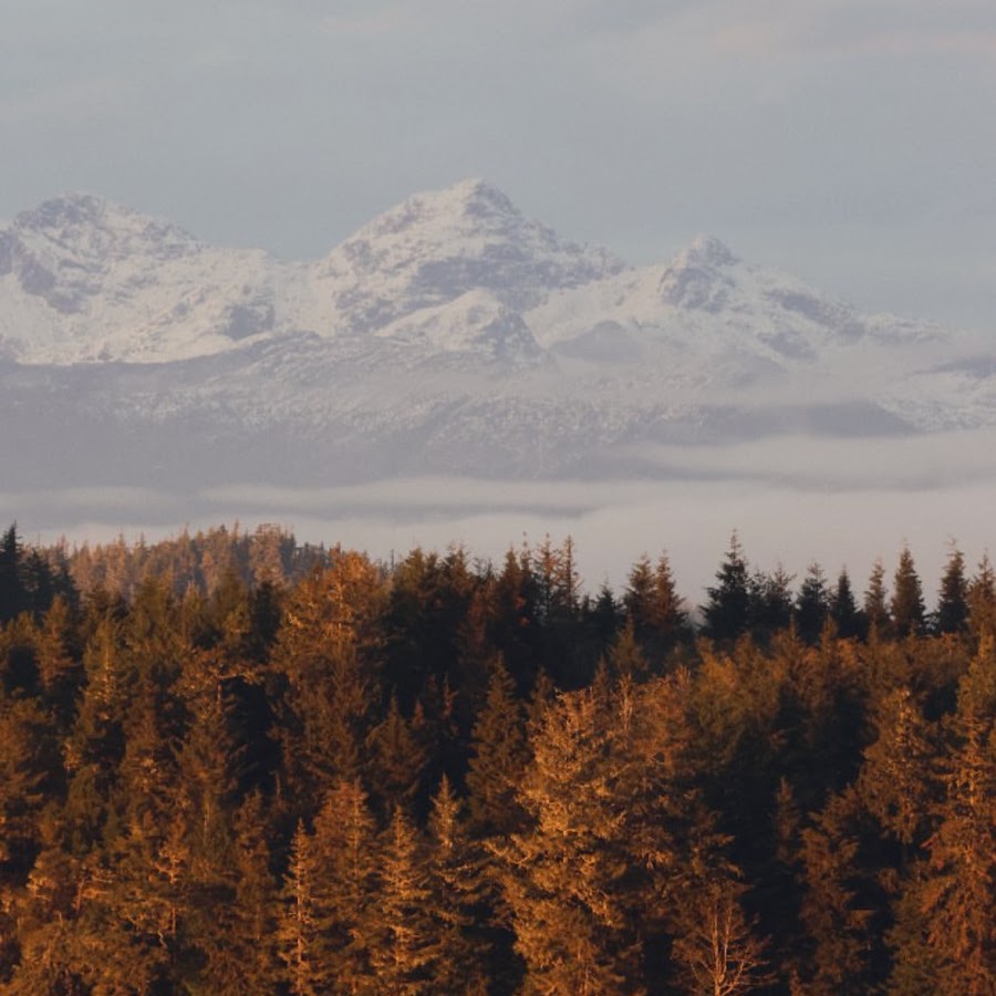 Fortnite black skin meme HD phone wallpaper wallpapers.media