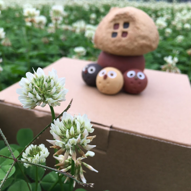 宛的手帳人森 Life and Journal - 網紅的藏寶箱 