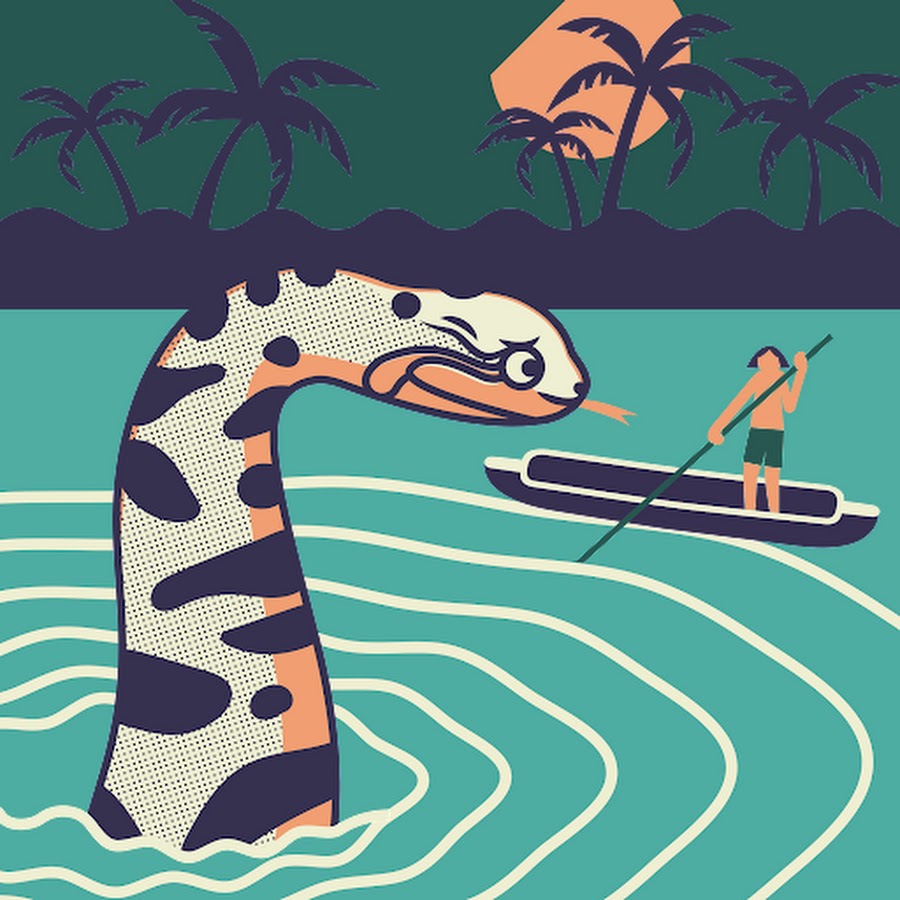 Fresh Start Sport Horses Youtube