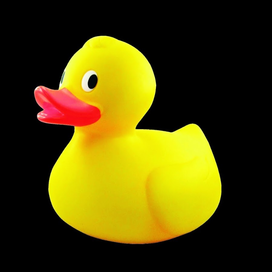 шагающая утка. дорогу утятам. выводок утят. утка с утятами. уточка с утятами.