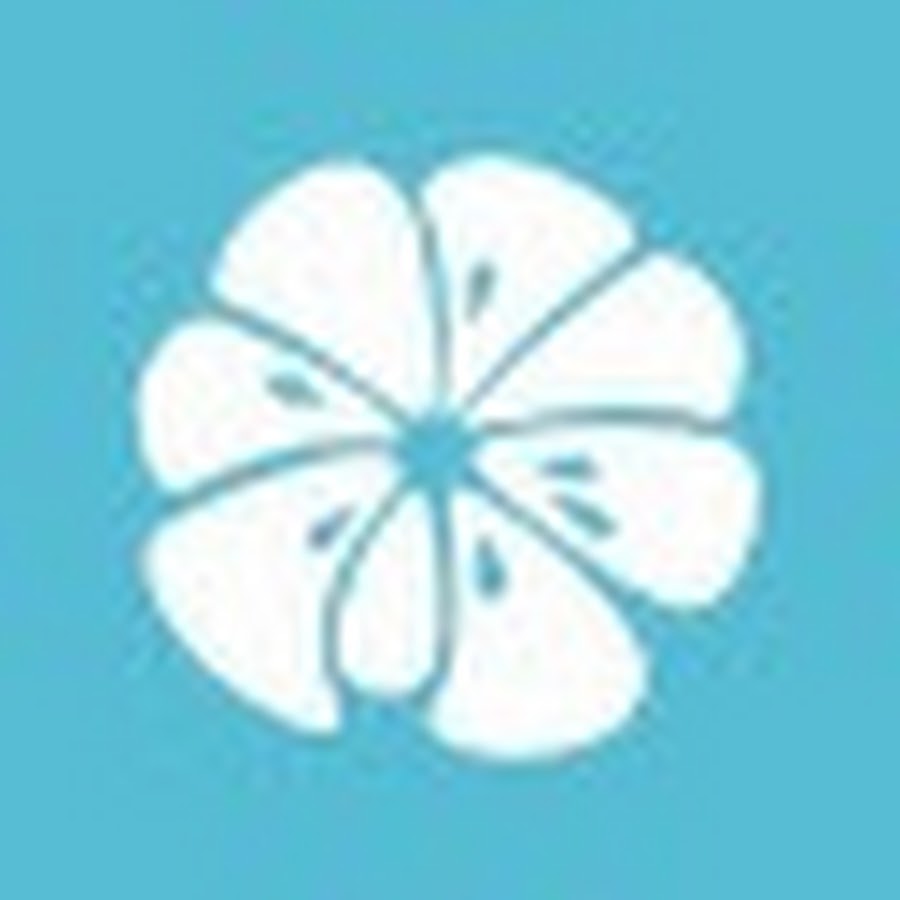 柚子木字幕组 Youtube