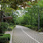 Green With