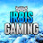 IRBIS-Gaming
