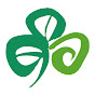Discover Ireland - @discoverireland YouTube Profile Photo