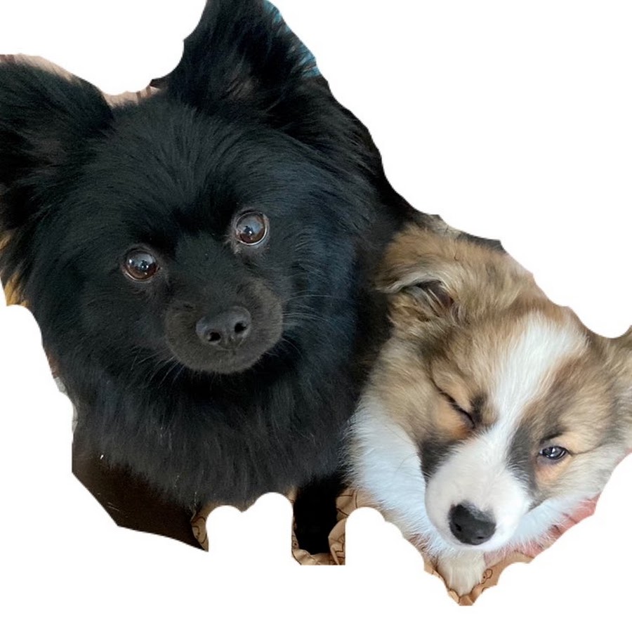 キキララ成長日記 Youtube