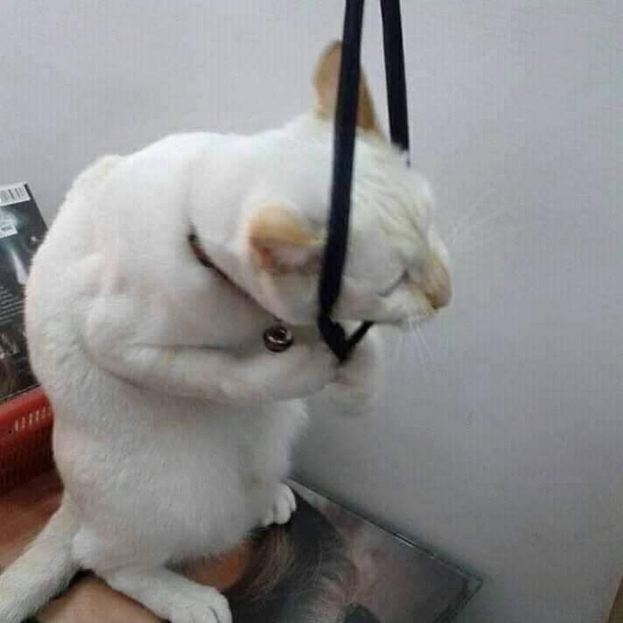 Привет, как вы? ❤ ЧЕТВЕРТЫЙ день подготовки! (почти последний). Начнем вебинар п