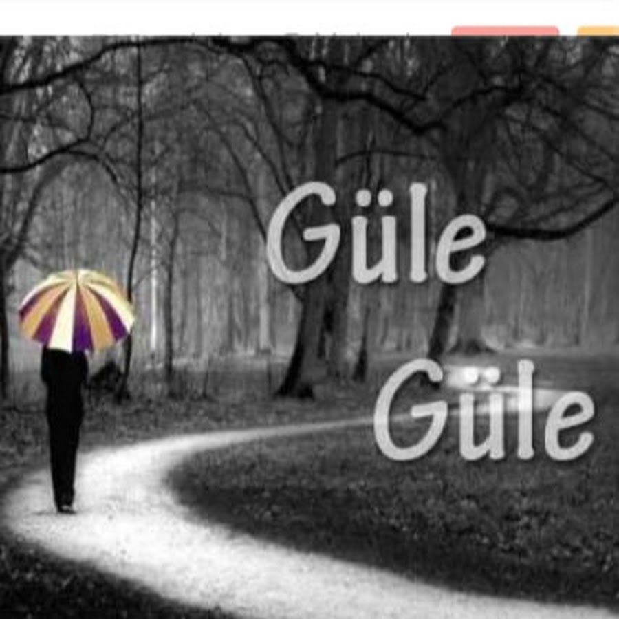 один красивый цветок. Gul gule. Gule. красивые розы. цветок сени.