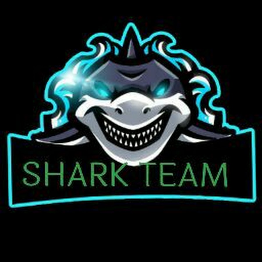 Раскрутка сайта team shark