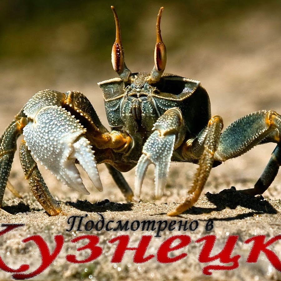 подглядывание за малолеткой. подсмотрено 2020. подсмотрено кузнецк. подсмотрено кузнецк. подглядывание через окно.