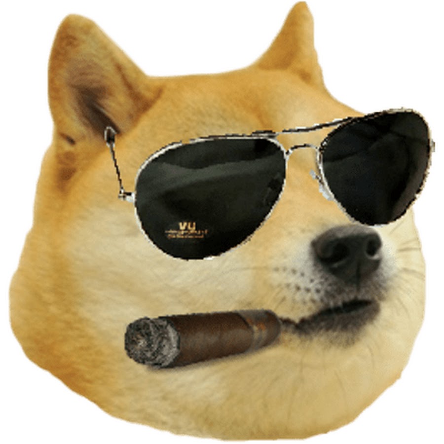 Doge steam profile фото 82