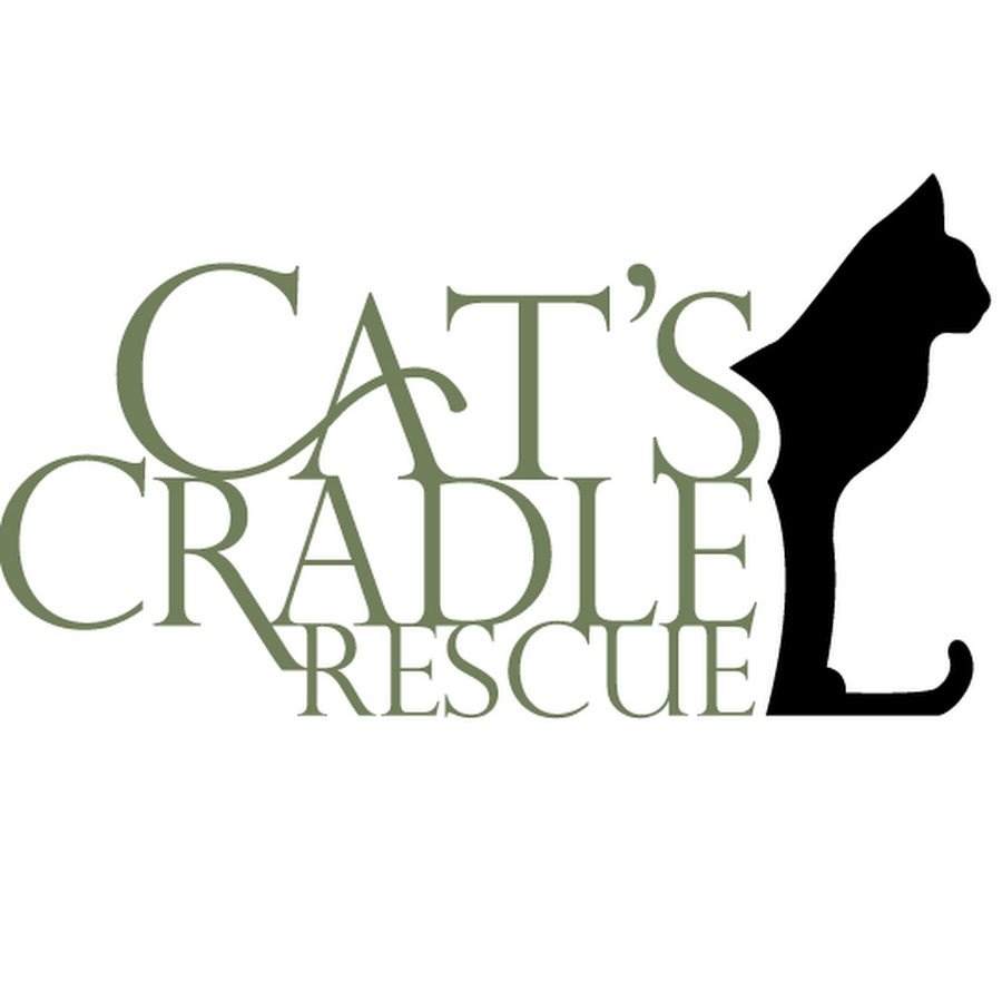 AKedOLQWPOdxf3cp4vWB61CVtQz4hbhGSLwjIH162cY=s900ckc0x00ffffffnorj