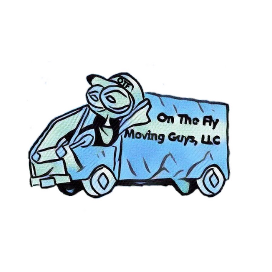 командир самолета. Apani b fly. полет в небе. муха. муха на белом фоне.