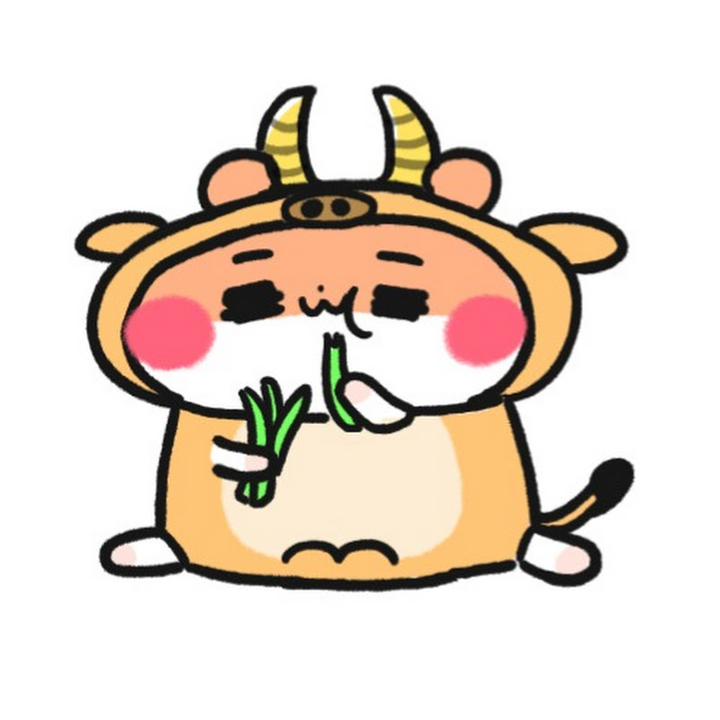 鼠餅胖可可 - 網紅的藏寶箱 