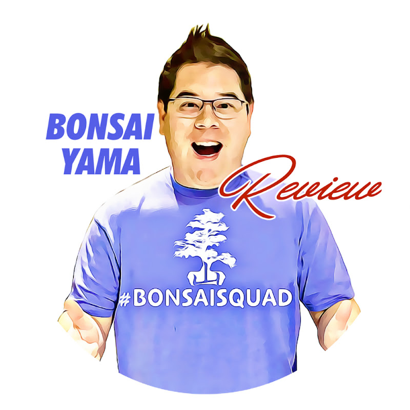Bonsai Yama Review