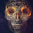 Lex Digitals Avatar