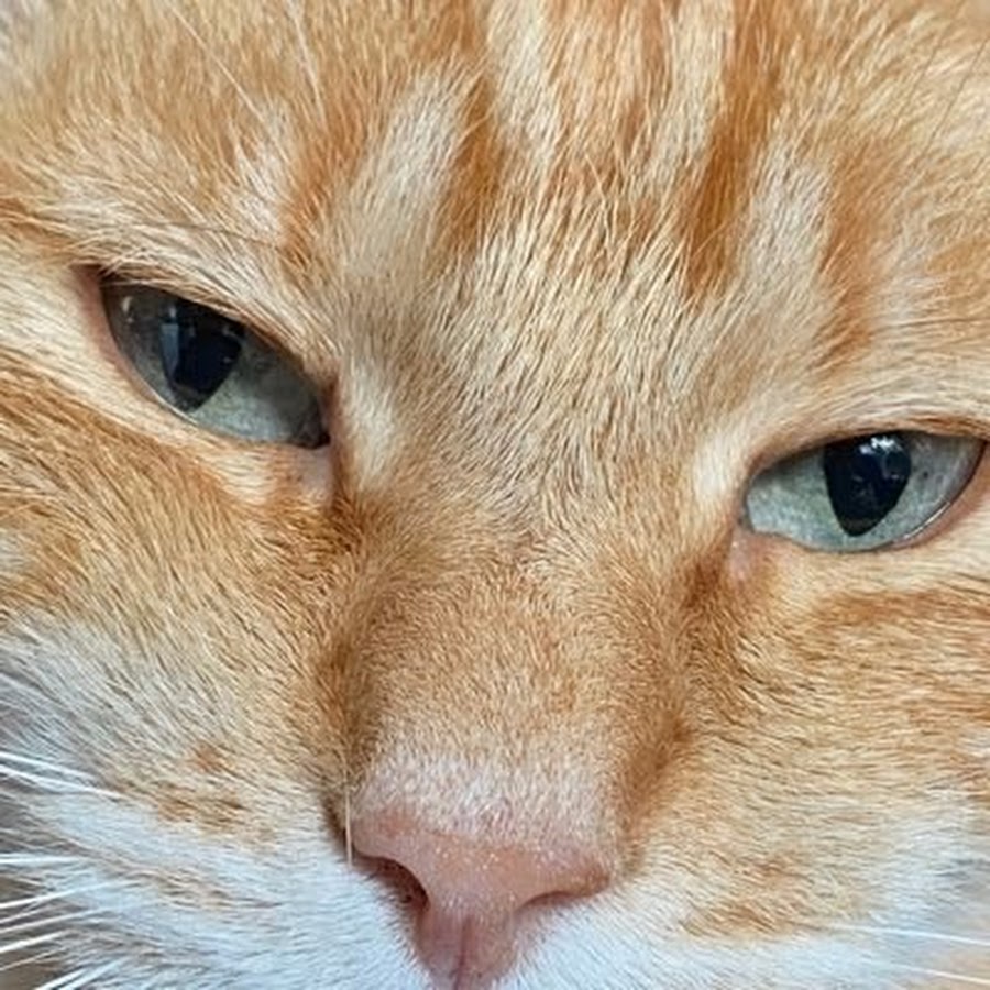 Eminem darkness lyrics. Eminem rhymes. Eminem farewell video. Darkness текст. Darkness текст.