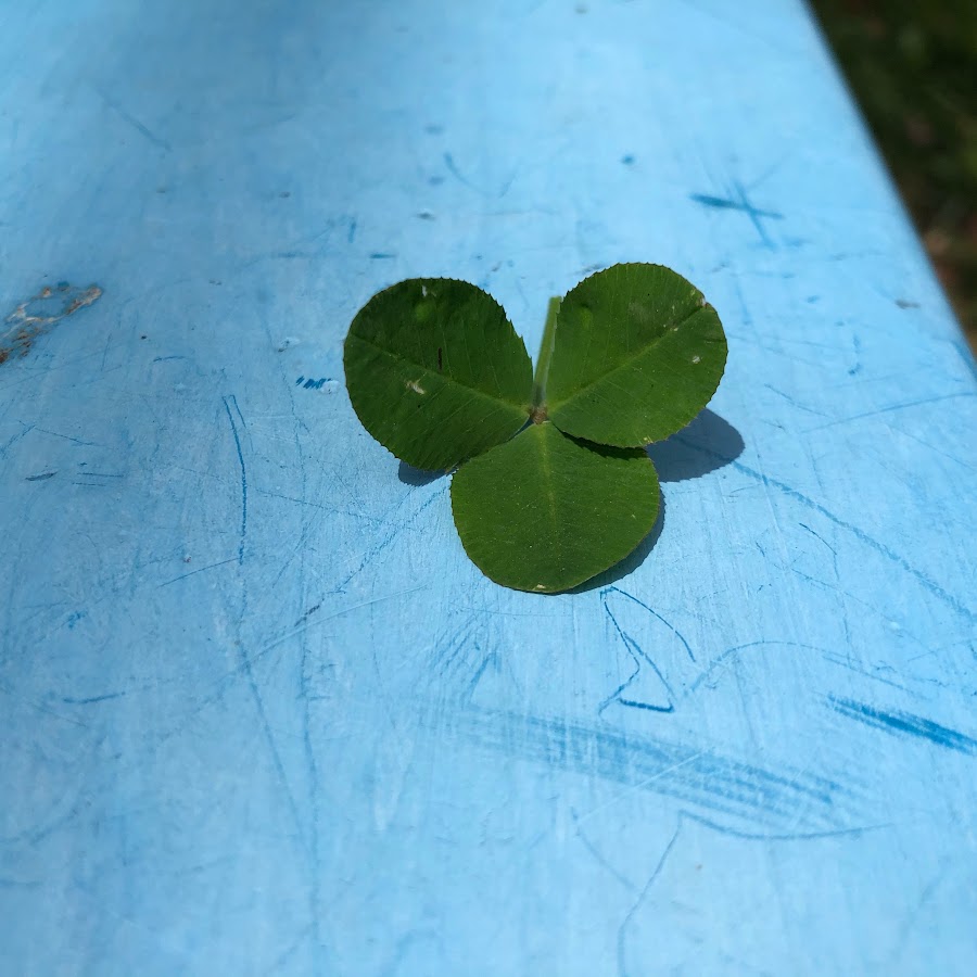 育児楽しい三つ子の父 Youtube