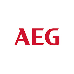 AEG net worth