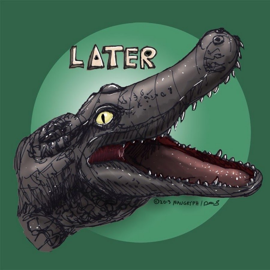 Reptile Kyle Youtube