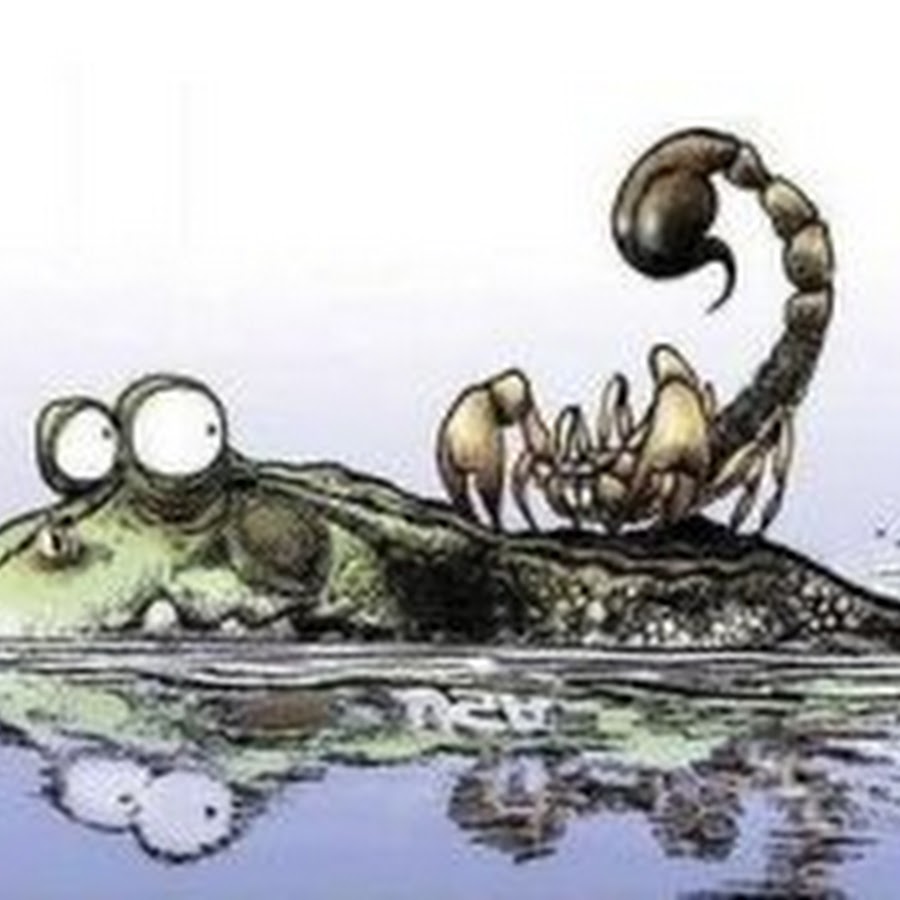 Притча скорпионы. Притча скорпионы. Притча о черепахе и скорпионе. Сказка о скорпионе и лягушке. Притча скорпионы.