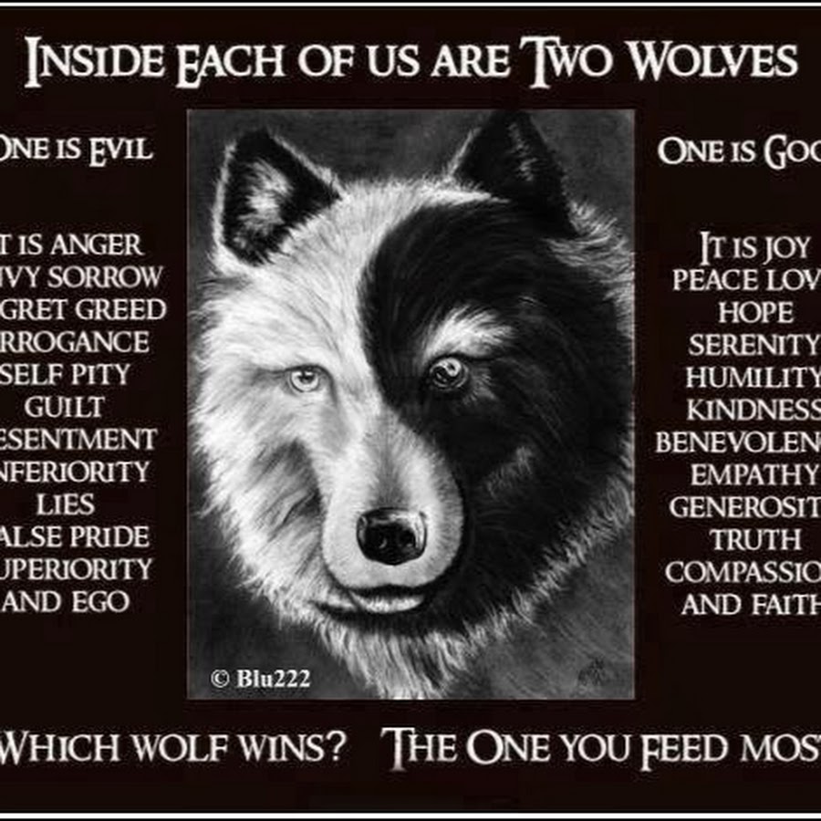 Цитаты два волка