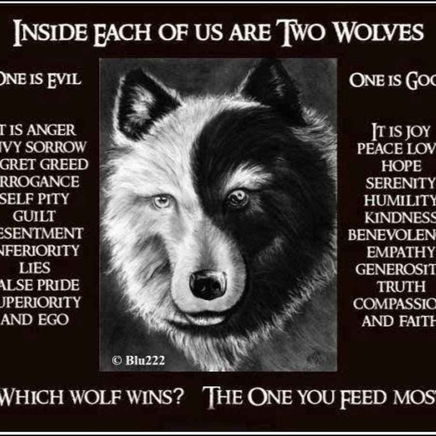 Which Wolf wins