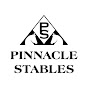 Pinnacle Stables Tennessee YouTube Profile Photo