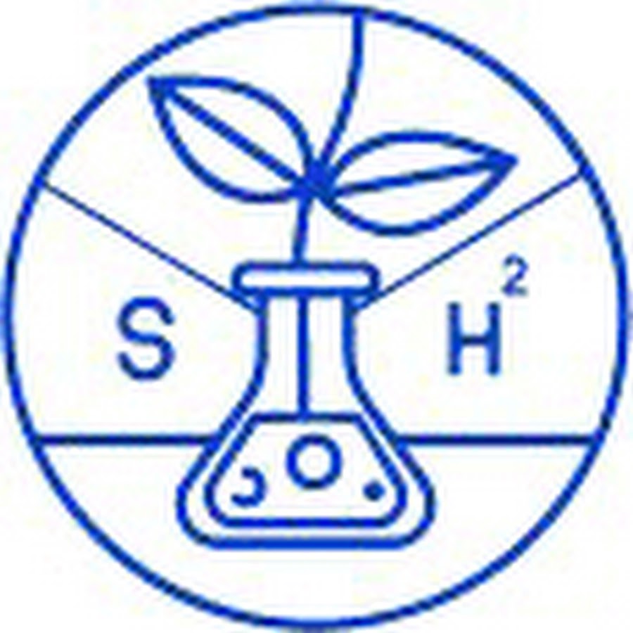 Учебный план биоинженерия итмо