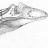 Lythronax argestes