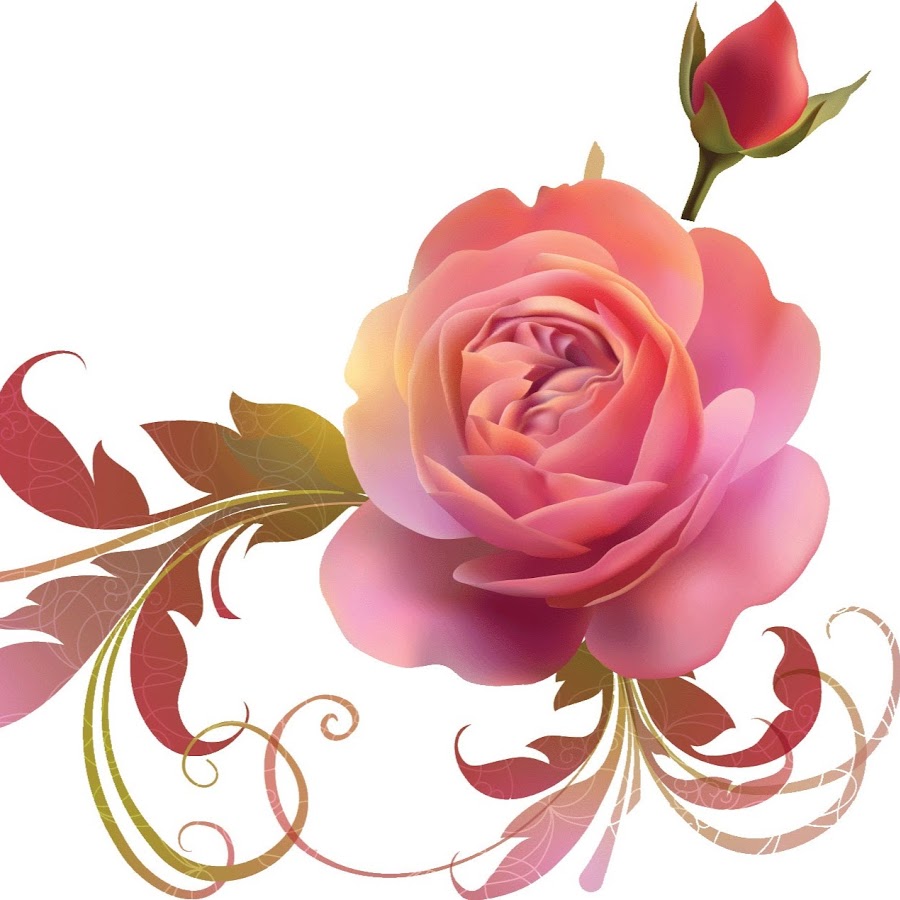 ｂａｒａｎｏｓｏｎｏ Youtube