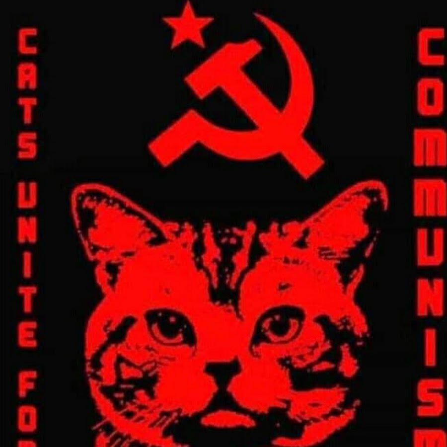 Кот СССР