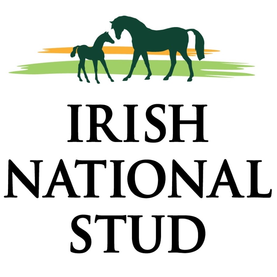 Irish national. National stud. Irish National Identity.