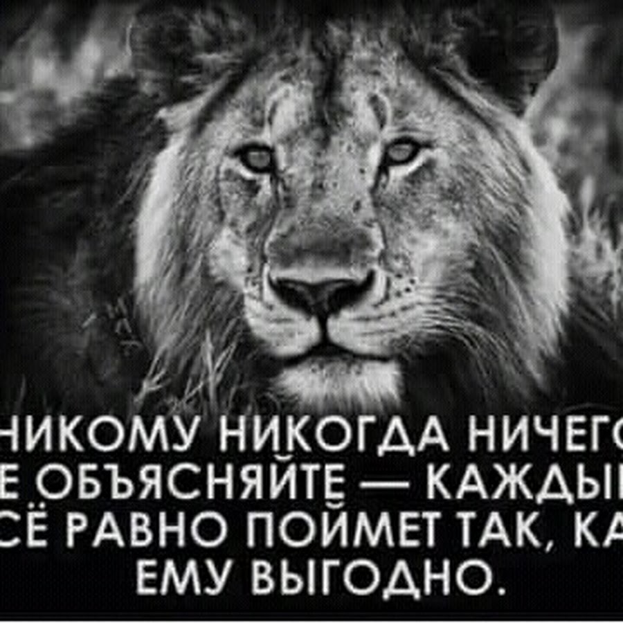 Никогда никому ничего не объясняй
