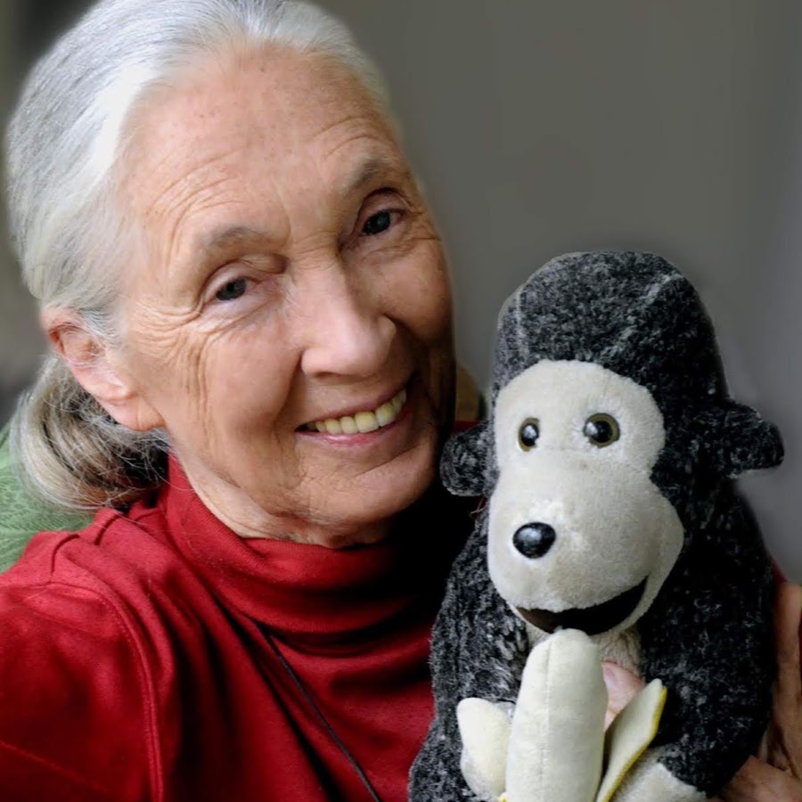 In 1977, Jane founded the Jane Goodall Institute to support the research sh...