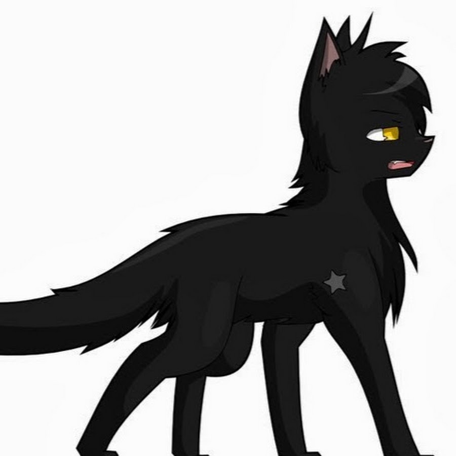 коты воители чёрные коты. коты воители черный кот. коты воители черный кот. коты воители черный кот. коты воители черный кот.