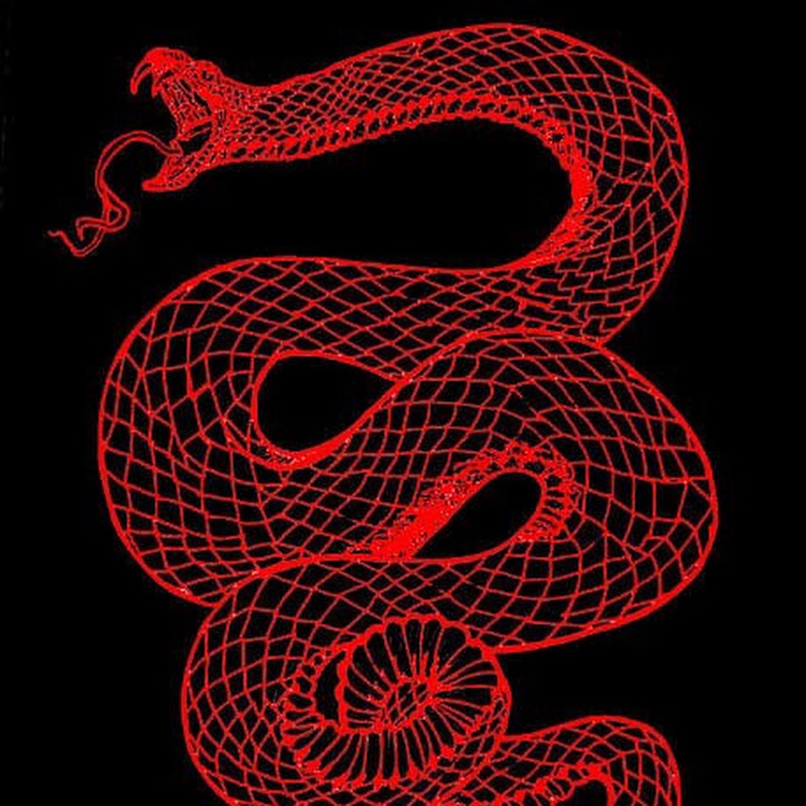 I m snake. Аспид змея Эстетика. Змея эвил Преваилс. Красная змея. Змея на Красном фоне.