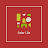 Color Life TV