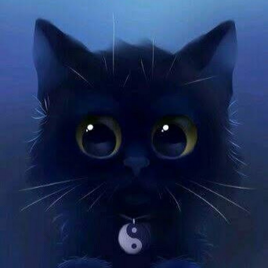 Милые темные коты