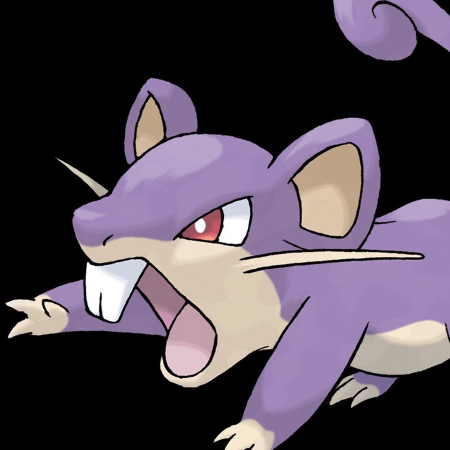 Pokemon Раттата