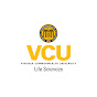 vculifesciences - @vculifesciences YouTube Profile Photo