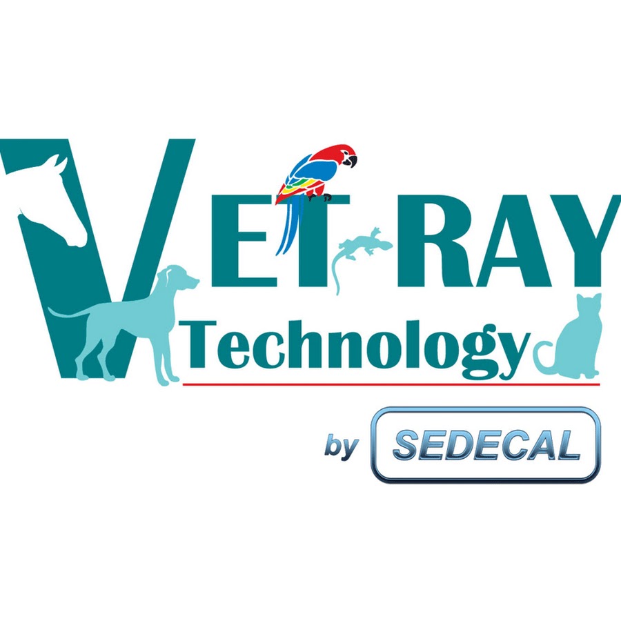 Ray tech