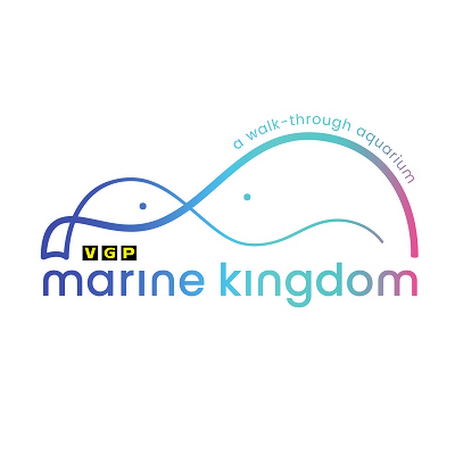 Vgp Marine Kingdom Youtube