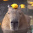 Lord Capybara
