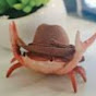 Crab YouTube Profile Photo