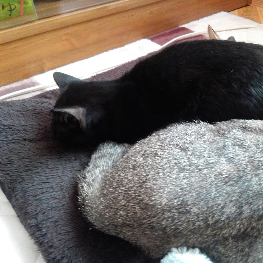 中田美樹 Youtube