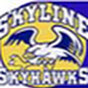 Skyline Elementary School PTO YouTube Profile Photo